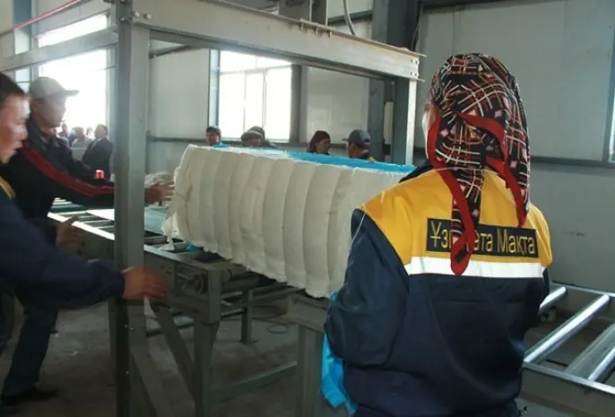 В Южном Казахстане запущен завод по переработке хлопка-сырца