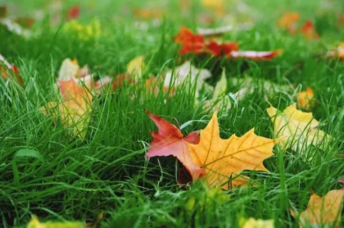 Синоптики прогнозируют ясную погоду в большинстве регионов РК