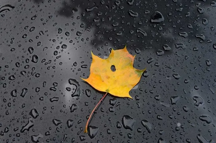 На востоке Казахстана ожидаются заморозкиЭксклюзив