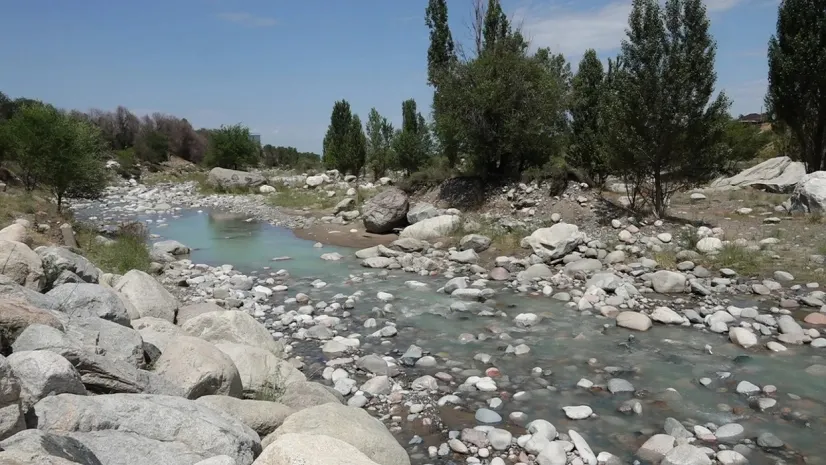 Мертвую рыбу обнаружили на берегу реки в Алматинской области