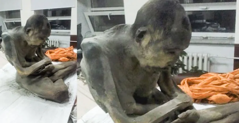 В Монголии найдено нетленное тело буддийского монаха