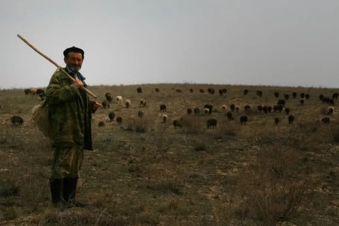 В Алматинской области скотник убил пастуха