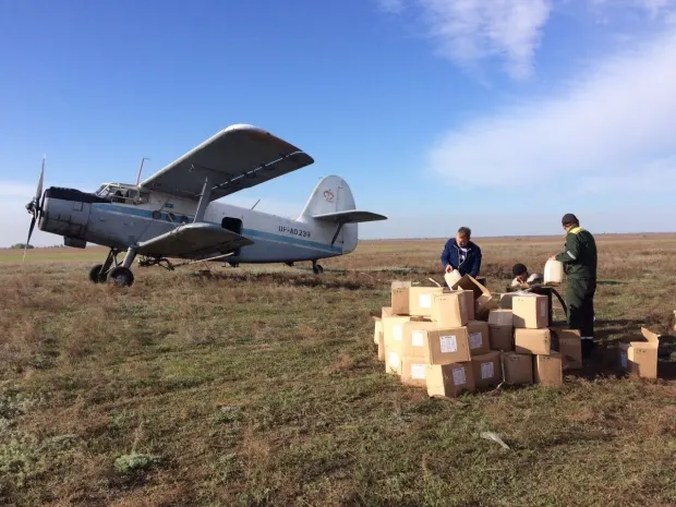 В Павлодаре начали авиаобработку поймы Иртыша против комаров