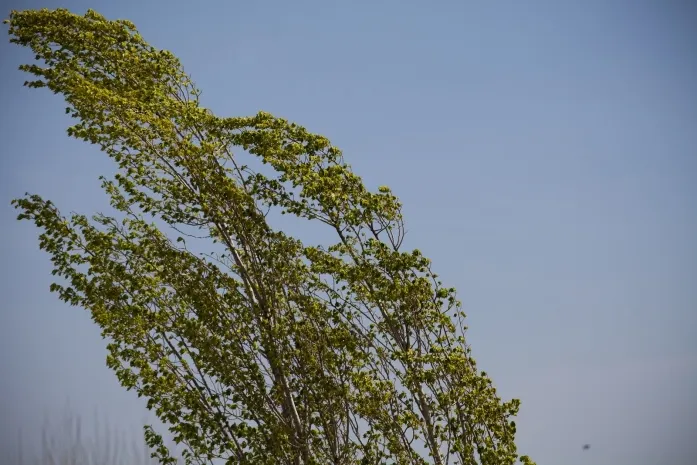 На Северный Казахстан надвигается сильный ветер