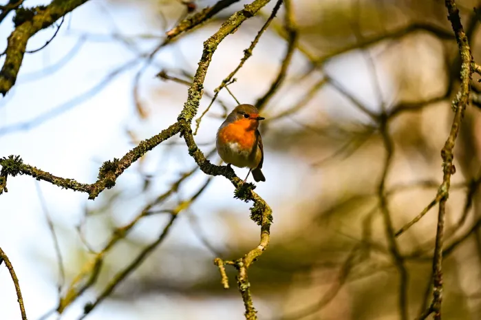 Теплая и солнечная погода ожидается в Казахстане