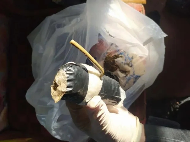 Самодельные гранаты изъяли у сельчанина в СКО