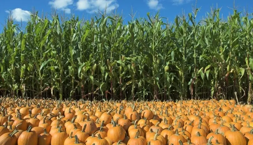 Аргентинская кухня с ароматом августа