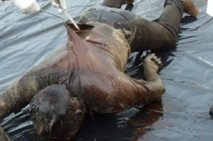 7 дней тело убитого мужчины хранили дома в Алматинской области