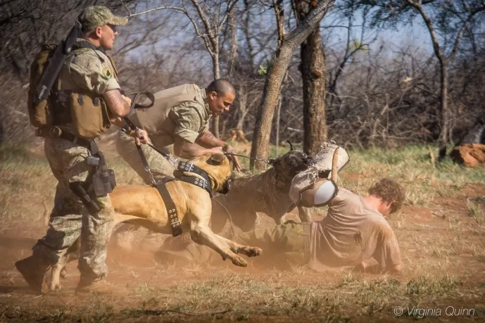 Всемирный фонд дикой природы обвинили в пытках и убийствах браконьеров