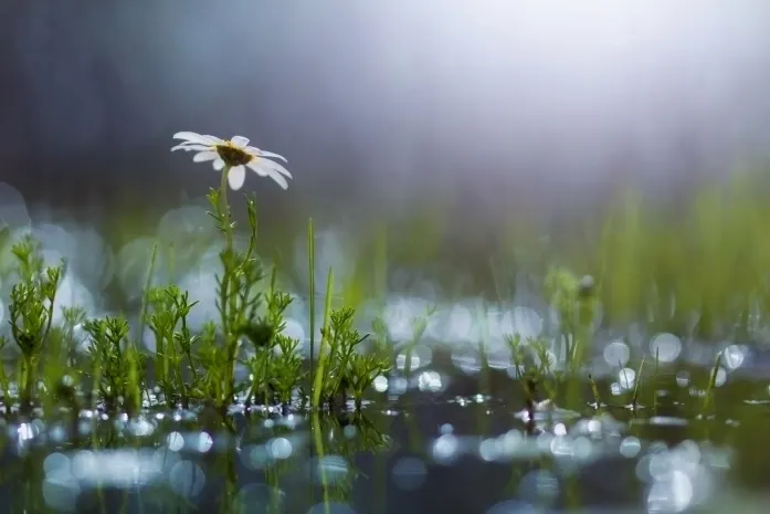 Долгожданное понижение температуры прогнозируют в Казахстане