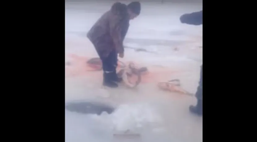 Браконьеры не постыдились распространить видео своих деяний (ВИДЕО)