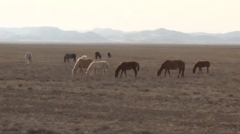 Правительство РК вливает бюджет в регионы