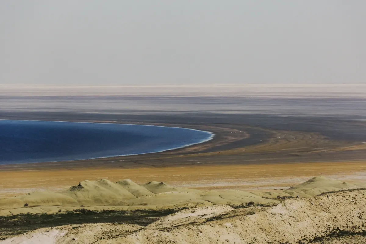 Пастбищные угодья появятся на осушенном дне Аральского моря