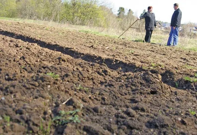 В Астане выявили более тысячи неиспользуемых земельных участков
