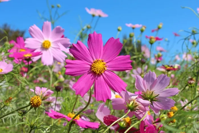 Малооблачная погода ожидается в Казахстане