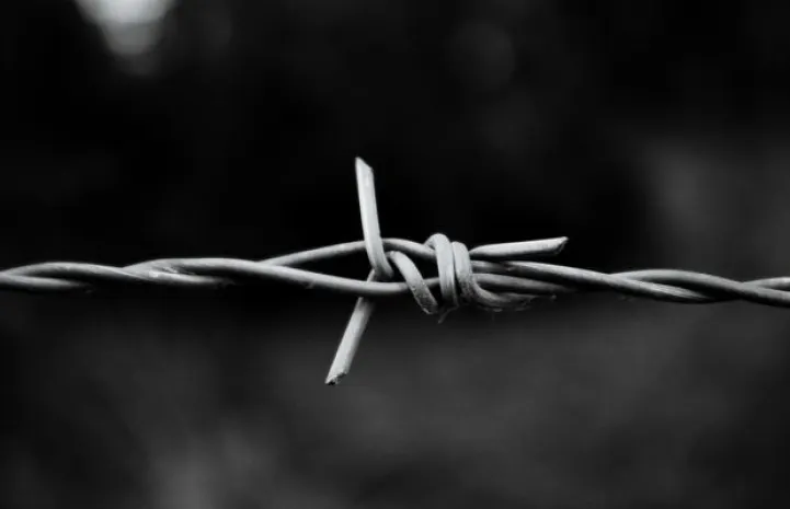 Граница с Афганистаном признана наиболее проблемной для СНГ