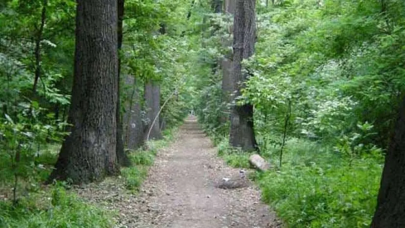 Прокуроры разобрались с самозахватом земель в «Роще Баума»