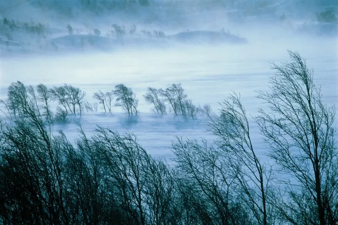 Метель ожидается на севере Казахстана