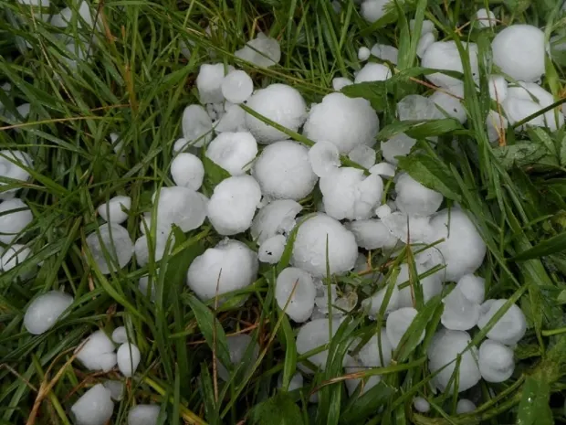 Грозы, туман и град обещают синоптики