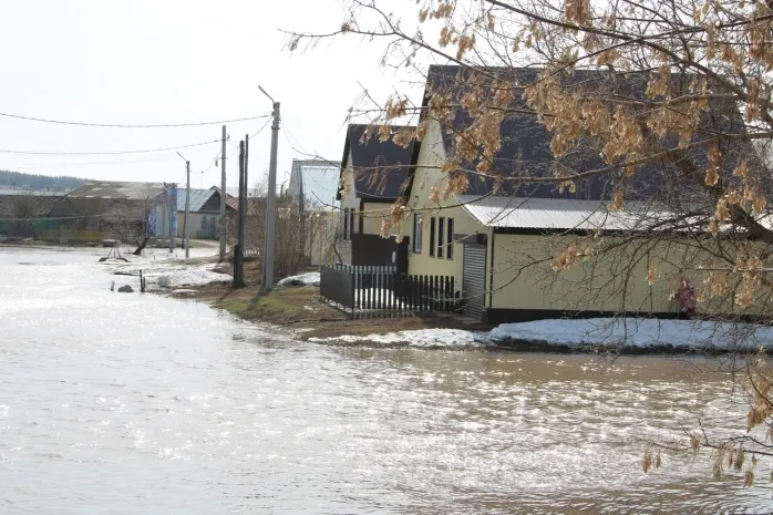 Более 40 жилых домов подтопило в регионах Казахстана