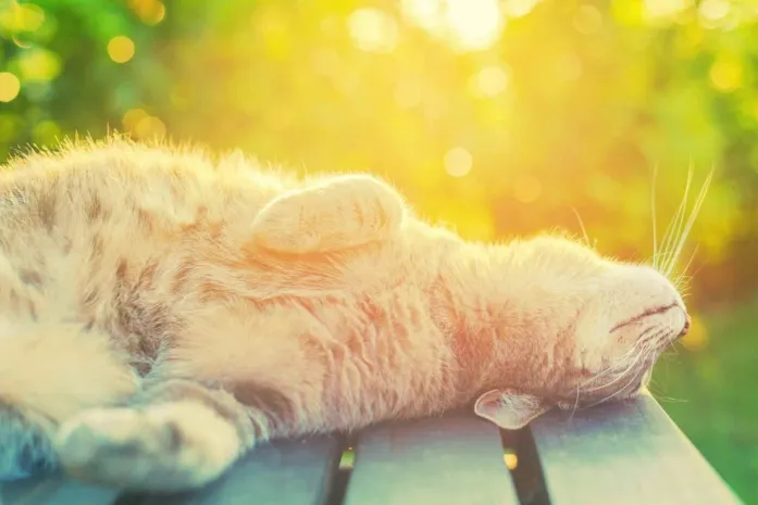 Малооблачная погода ожидается в Казахстане