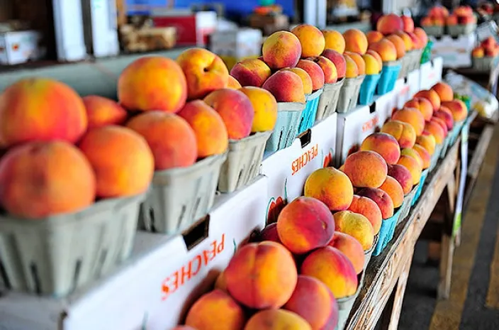 Компенсации ЕС разочаровали фермеров Греции