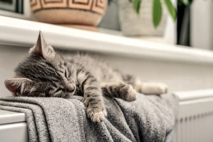 Отопительный сезон стартовал в Астане