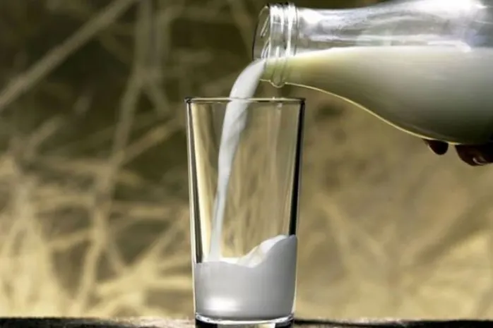 Петропавловская молочная продукция признана безопасной