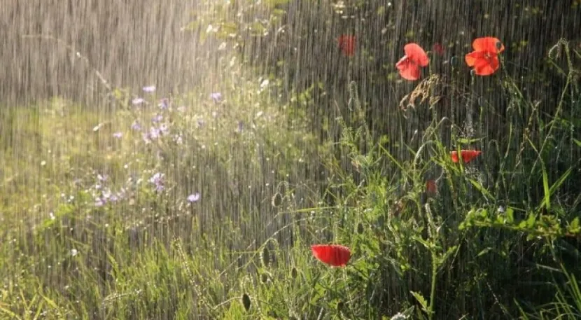 24 и 25 апреля Казахстан ожидают сильные ливни