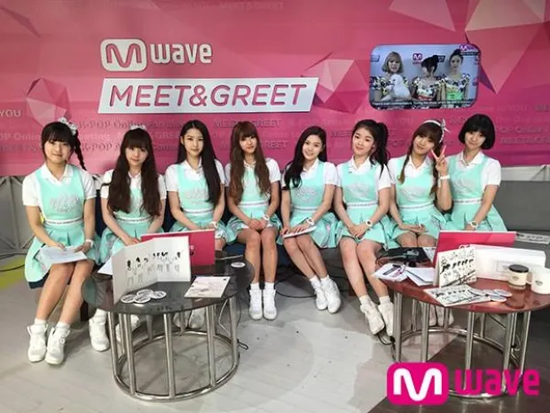 Очередных звезд таможенники США приняли за проституток