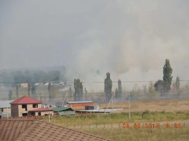 В Алматинской области горит сухостойЭксклюзив