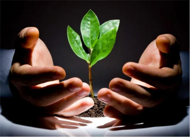 Миллиард тенге выделят для МСБ Костанайской области