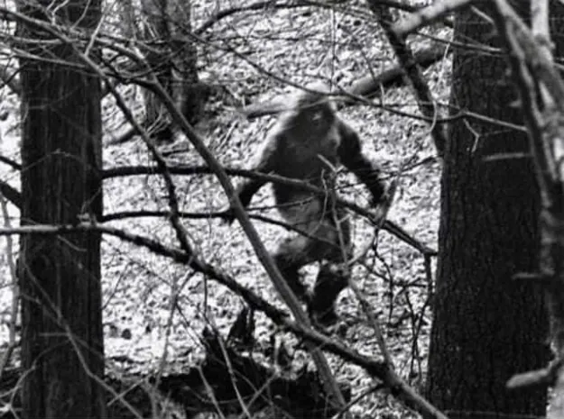 Российский снежный человек сбежал в Казахстан