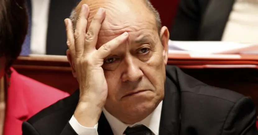 Франция и Дания отказались от поставок оружия Украине