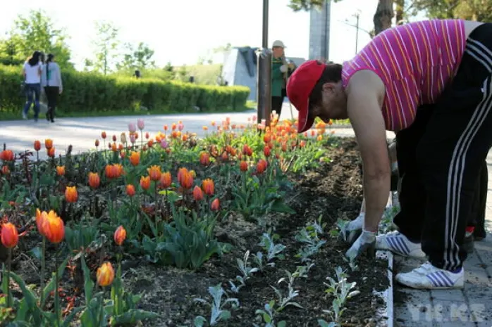 Порядка 12 тыс. рабочих мест появится в Алматы