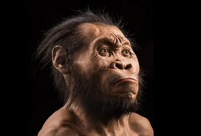 Останки людей нового вида нашли археологи