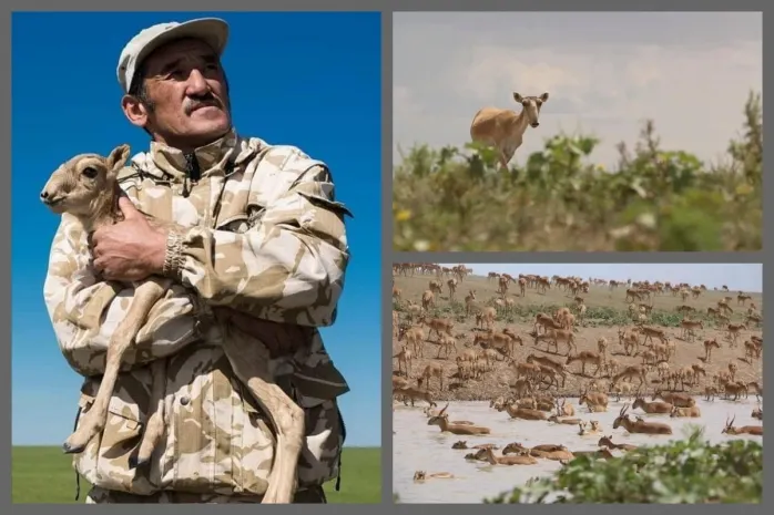Генпрокурор взял под личный контроль дело об убийстве инспектора «Охотзоопрома»