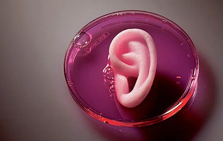 Скоро новые органы и кости будут печатать на 3D-принтерах