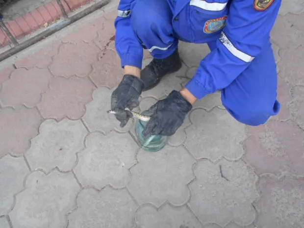 В Шымкенте спасатели отлавливают змей
