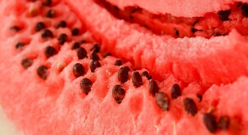 В Алматы завезли опасные арбузы