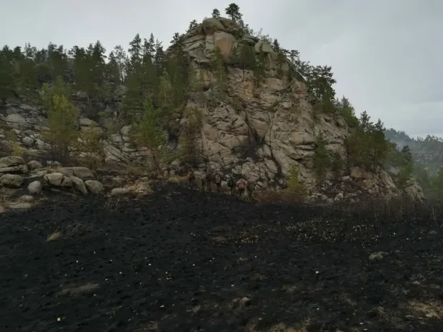 Крупный пожар в Жамбылской области