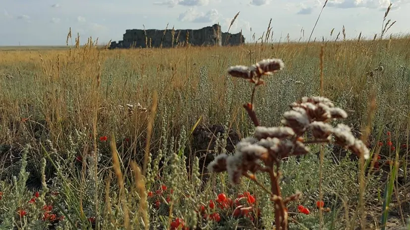 В Прииртышье под воду уходят останки известных султанов