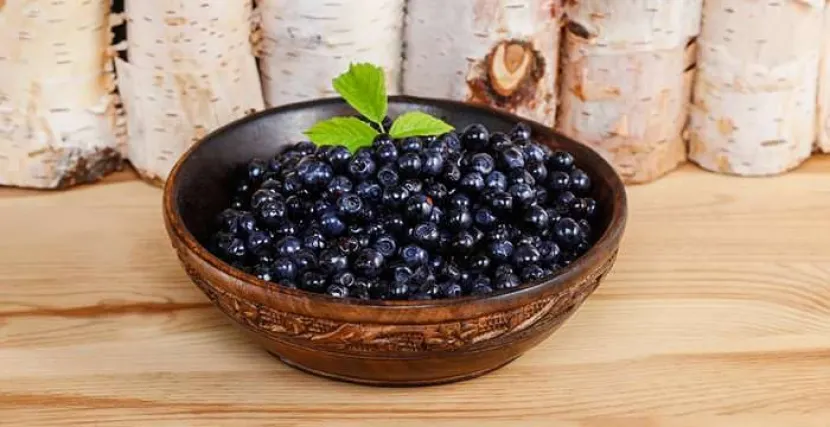 Черника защищает от последствий жирной пищи