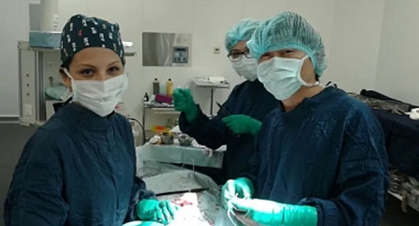 Очередной несчастный случай на производстве в Павлодаре – рабочему ампутировали стопу