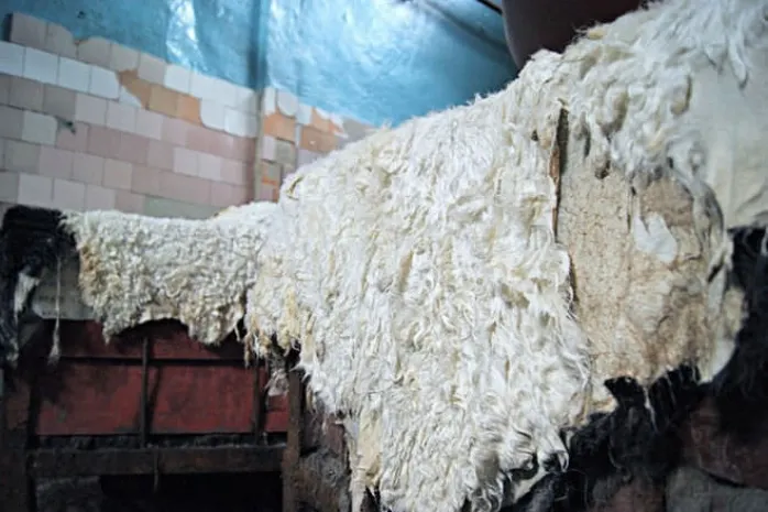 Россиянин с 5 тыс. овечьих шкур задержан в Казахстане