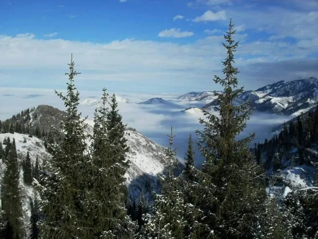 В Алматы продолжаются споры вокруг строительства «Кок-Жайляу»