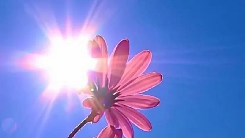 Сильная жара ожидает алматинцев в выходные