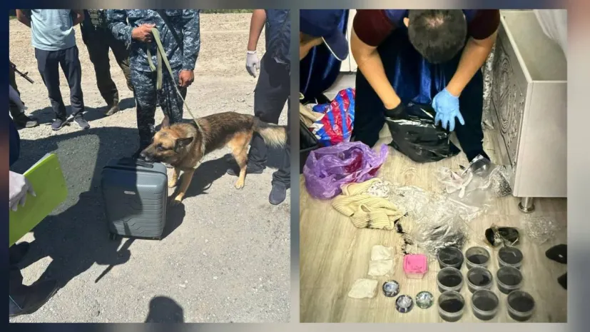 Крупную партию «синтетики» обнаружили и изъяли полицейские в Кызылорде