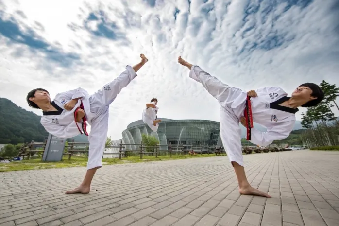 Международный день тхэквондо, спасателя Армении и перерыва на искусство