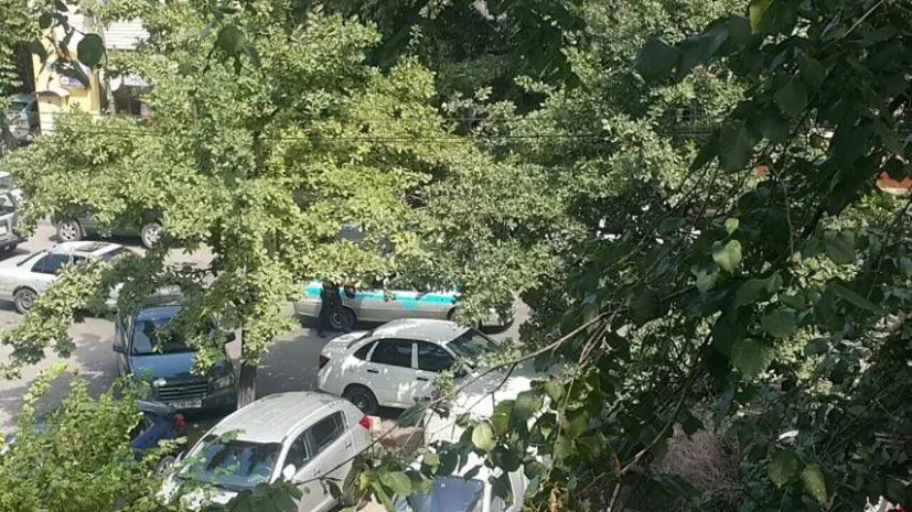 Ситуация в Алматы находится под контролем – ДВД